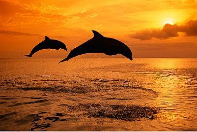 《战锤40K：星际战士2》发行商道歉 存在崩溃等问题