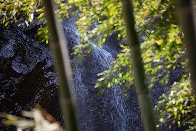 《名利场：我被好莱坞美女潜规则》新预告 选洋媳妇